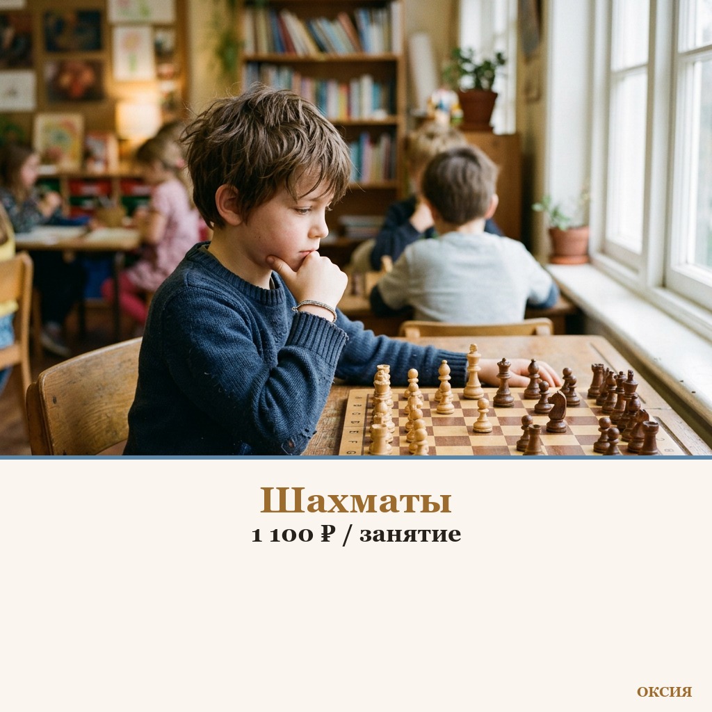 Шахматы